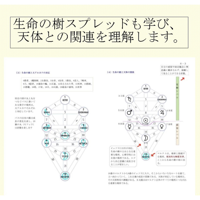 ⑦タロッテイストのための占星術基本講座☆タロットカードテキスト教材 