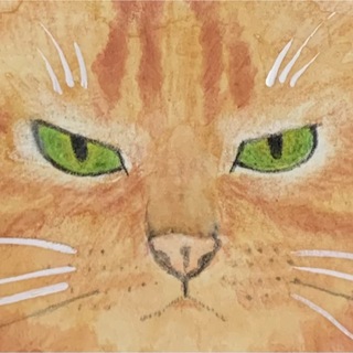 猫 手描きイラスト 原画の通販 by なな's shop｜ラクマ