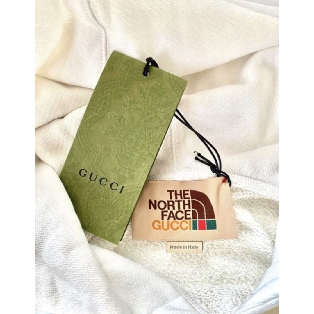 Gucci - 【新品希少】GUCCI × THE NORTH FACE コラボパーカー グッチの