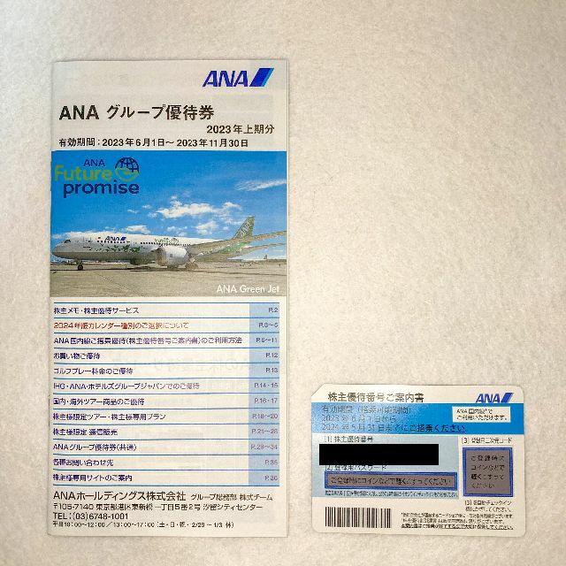 ANA(全日本空輸)(エーエヌエー(ゼンニッポンクウユ))の◆ANA株主優待券　有効期限2024年5月31日　１枚　送料無料◆ チケットの乗車券/交通券(航空券)の商品写真