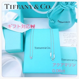 Tiffany & Co. - 美品✨ティファニーカラーバイザヤードネックレスペンダントアクアマリン　プレゼント