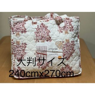 大判両面プリント水洗いキルト ジャイプール240cmx270cm綿100% tic