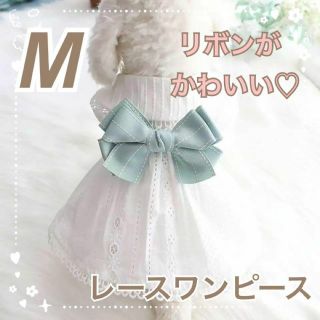 M リボン レース ワンピース 犬服 犬の服 ドッグウェア 上品 ペット 猫(犬)