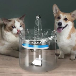 ペット用 給水器 ウォーターディスペンサー 自動循環 一定温度 ーペット 犬 猫(犬)