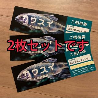 カワスイ☆招待券2枚セット(水族館)