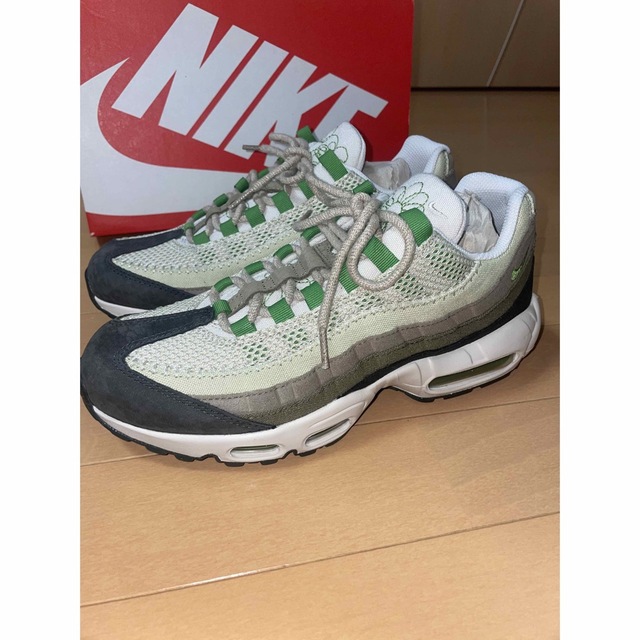 Nike WMNS Air Max95 Earth Day DV3450-300