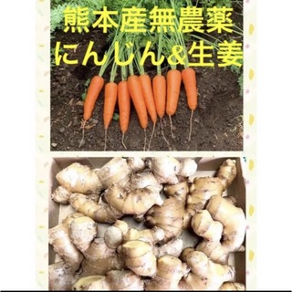 熊本産無農薬にんじん&生姜1.2キロ(野菜)