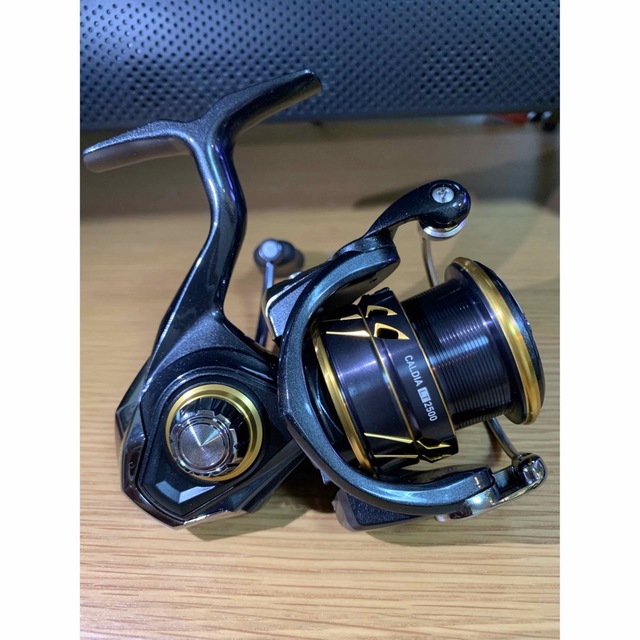 DAIWA(ダイワ)の水溜りはカオス様専用【ダイワ】21カルディア LT2500 スポーツ/アウトドアのフィッシング(リール)の商品写真