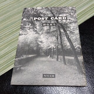 銀色夏生　ポストカード(写真/ポストカード)