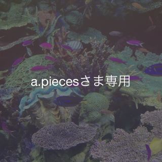 a.piecesさま専用 天然石風ターコイズ他（計40粒）(ピアス)