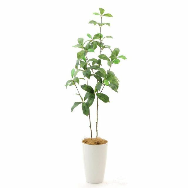 【2023最新】フェイクグリーン 光触媒 造花 人工 観葉植物 造花ドットコムCHIC7PP製高さ