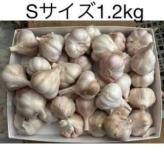 鹿児島県産　ニンニク1.2kg Sサイズ(野菜)