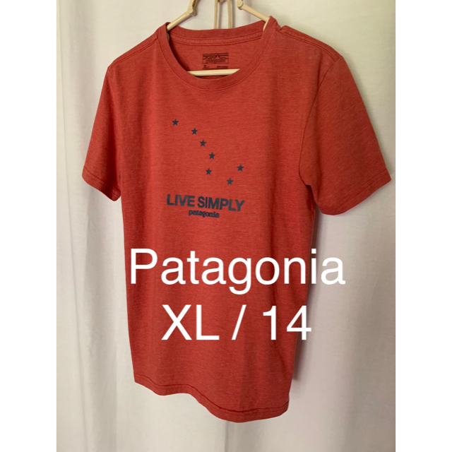patagonia 信頼のPatagoniaパタゴニア半袖TシャツキッズサイズXL Outdoor の通販 by ヘイブ サイズXL