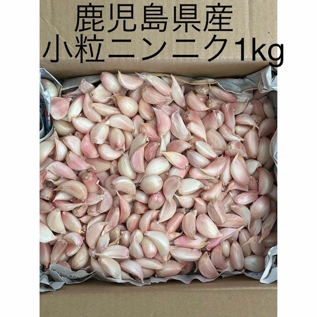 鹿児島県産　ニンニク1kg 小〜極小サイズ粒 食品/飲料/酒の食品(野菜)の商品写真