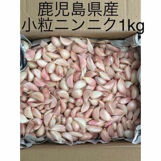 鹿児島県産　ニンニク1kg 小〜極小サイズ粒(野菜)