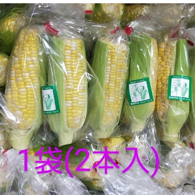 フルーツのように甘いとうもろこし 食品/飲料/酒の食品/飲料/酒 その他(その他)の商品写真