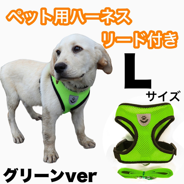 最大66%OFFクーポン 猫 犬 小型犬 ペット 散歩 リード付き ハーネス Lサイズ グリーン