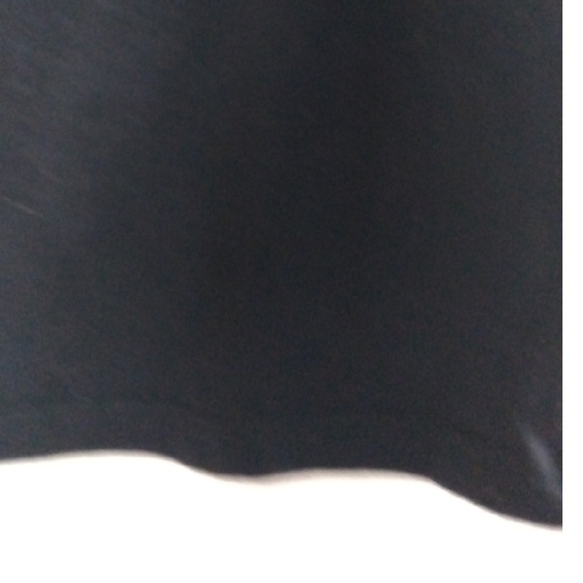 ドナルドダック(ドナルドダック)の美品　ディズニー　ドナルドダック　ディジーダック　黒　Tシャツ レディースのトップス(Tシャツ(半袖/袖なし))の商品写真