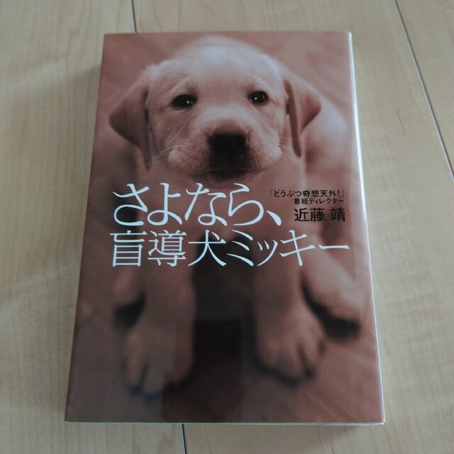 天使になった男/さよなら、盲導犬ミッキー エンタメ/ホビーの本(その他)の商品写真