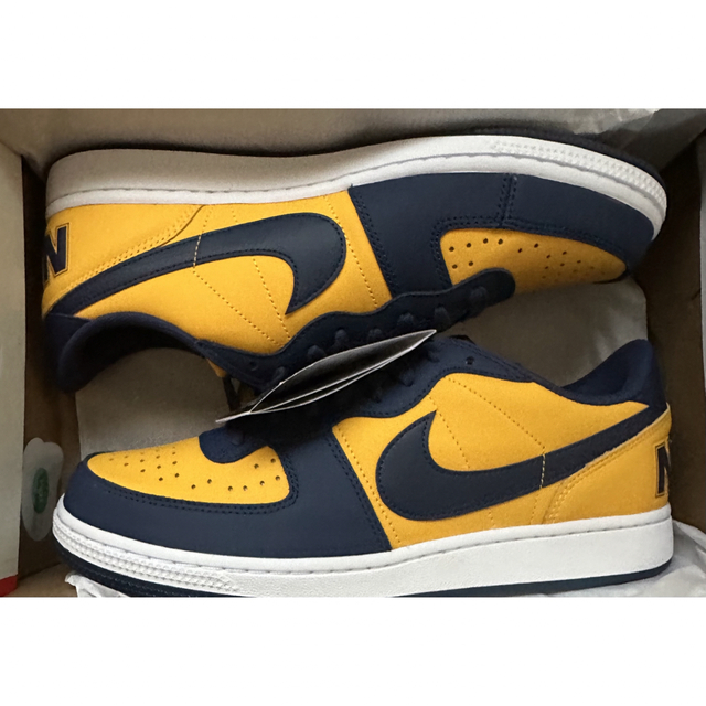 Nike Terminator Low OG Michigan