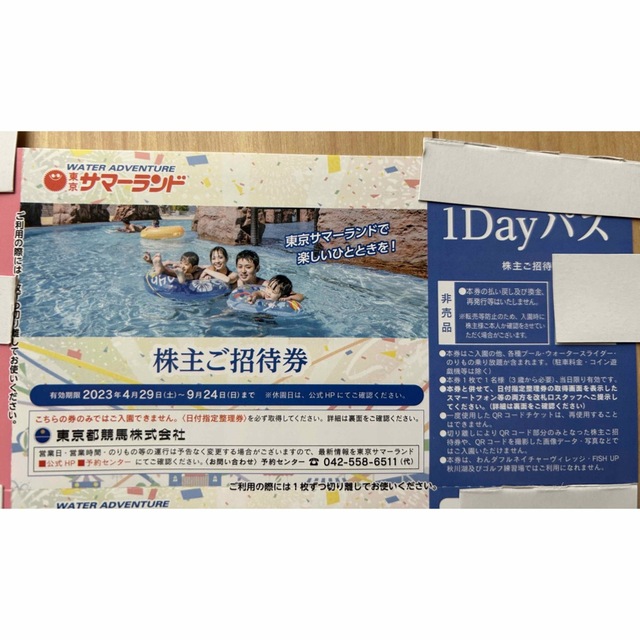 東京サマーランド 1Dayパス 株主ご招待券 4枚(東京サマーランド 東京サマーランド 1Dayパス 株主ご招待券 4枚(東京サマーランド