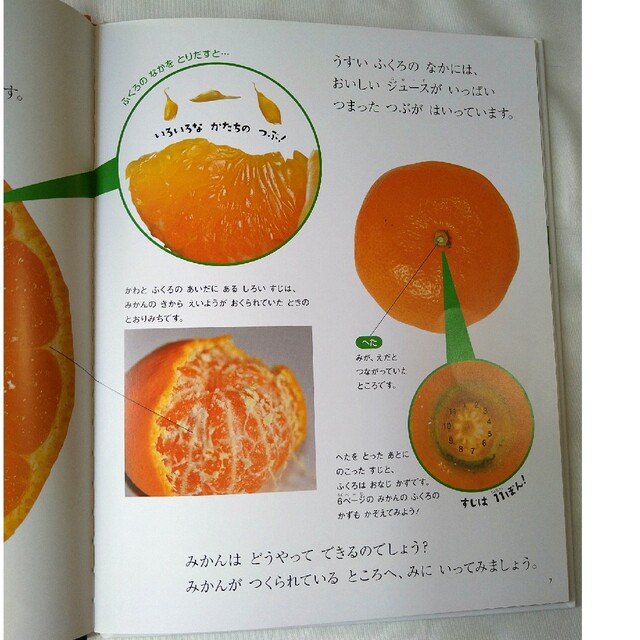 キンダーブック しぜん 絵本 3冊セットの通販 by たまっち's キンダーブック しぜん 絵本 3冊セットの通販 by たまっち's