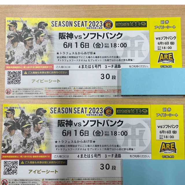 甲子園7月15日阪神vs中日 ライトスタンドペアチケット