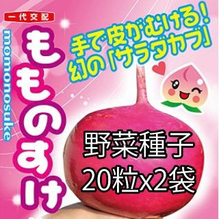 野菜種子 EAU もものすけ(サラダカブ) 20粒 x 2袋(野菜)