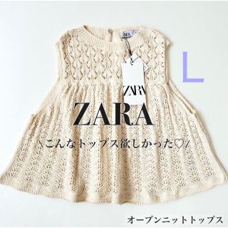 ザラ(ZARA)のZARA／オープンニットトップス　Ｌサイズ　【新品•未使用】新作！完売！(カットソー(半袖/袖なし))