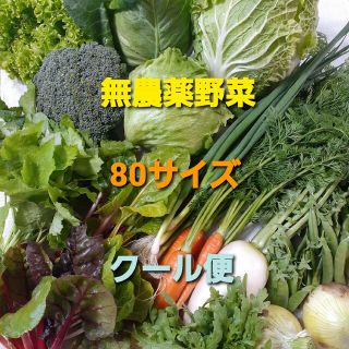 無農薬野菜　80サイズ　クール便(野菜)