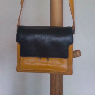 マルニ(Marni)の【GIO様専用】MARNIマルニ ☆TRUNK SOFT MINI BAG ☆(ショルダーバッグ)