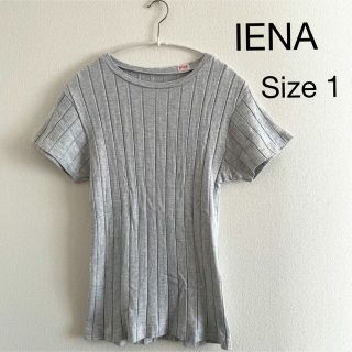 イエナ(IENA)のIENA YOUNG&OLSEN リブ半袖プルオーバー(カットソー(半袖/袖なし))