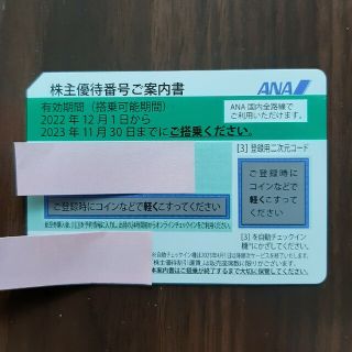 エーエヌエー(ゼンニッポンクウユ)(ANA(全日本空輸))のANA株主優待券(その他)