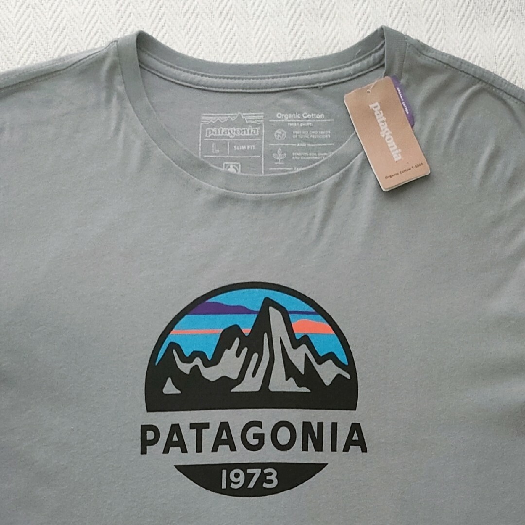 patagonia(パタゴニア)の【新品】patagonia パタゴニア　P-6ミッションTシャツ USA製Ｌレア メンズのトップス(Tシャツ/カットソー(半袖/袖なし))の商品写真