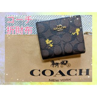 コーチ(COACH)の☆新品未使用☆ COACH×PEANUTS ウッドストック 折りたたみ財布(折り財布)