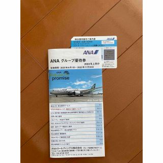 ANA 株主優待券一枚& ANAグループ優待券(航空券)