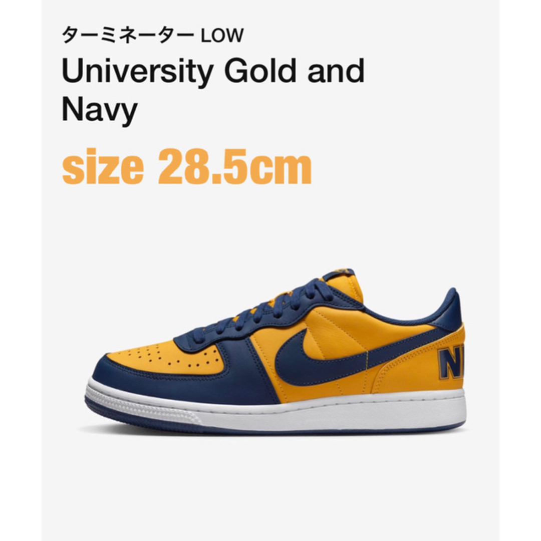 NIKE(ナイキ)のNIKE TERMINATOR Low -University Gold- メンズの靴/シューズ(スニーカー)の商品写真