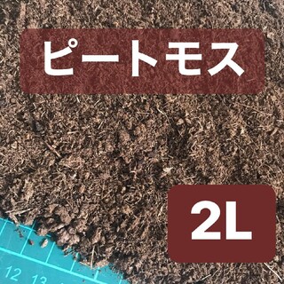 ピートモス 2L 土壌改良材 ガーデニング　アクアリウム　ブルーベリー(その他)