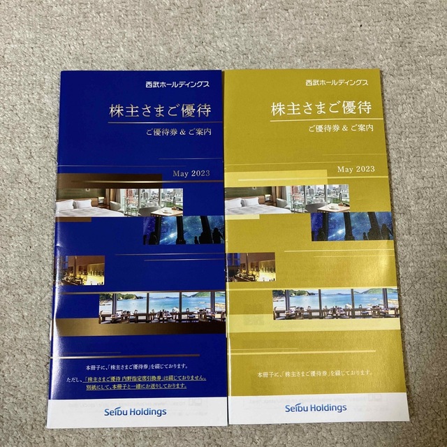 西武HD 株主優待冊子 1000株100株1冊ずつ - その他