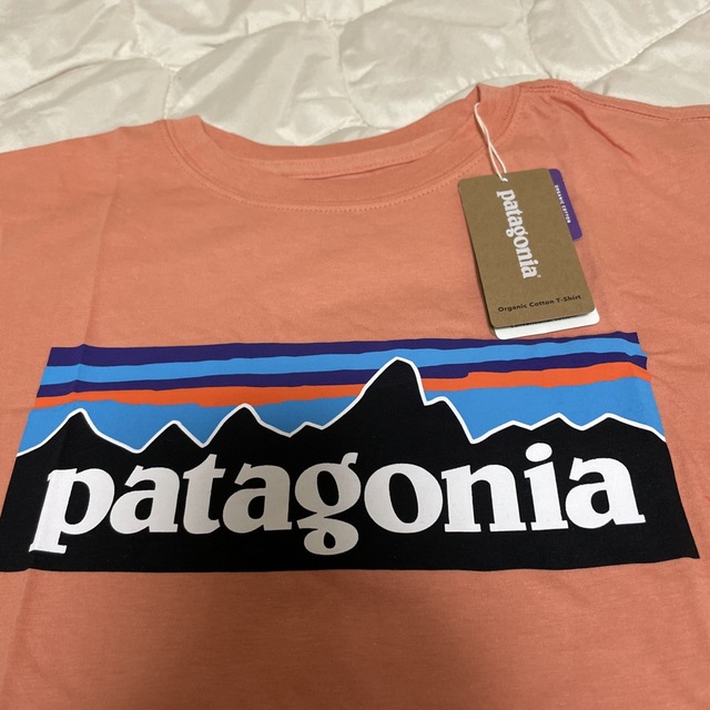 patagonia(パタゴニア)のパタゴニア　オーガニックコットンTシャツ　M10 キッズ/ベビー/マタニティのキッズ服男の子用(90cm~)(Tシャツ/カットソー)の商品写真