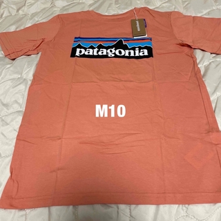 パタゴニア(patagonia)のパタゴニア　オーガニックコットン　Tシャツ　M10(Tシャツ/カットソー)