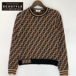 FENDI フェンディ 黒白ズッカ柄ニット S 夏物半袖 リボン付 イタリア製