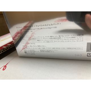 リズム エニシー グローパック 炭酸ガスパック 一箱 10回分セット 正規