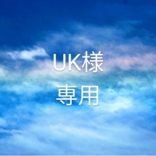 UK様専用(ランチボックス巾着)