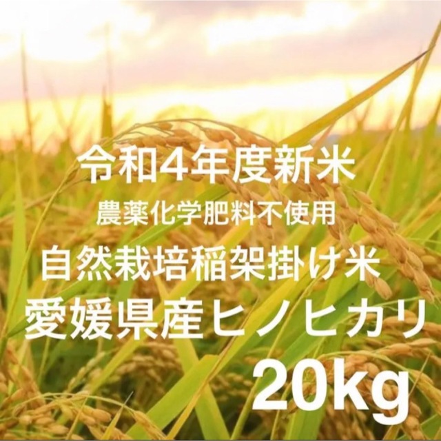 ちー様専用 自然栽培天日干し米 愛媛県産ヒノヒカリ 5キロ