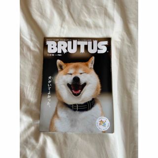 BRUTUS(趣味/スポーツ)