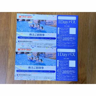 お支払後24時間以内発送　東京サマーランド　株主優待券　2枚　➁(プール)