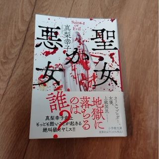 真梨幸子 「聖女か悪女」(文学/小説)