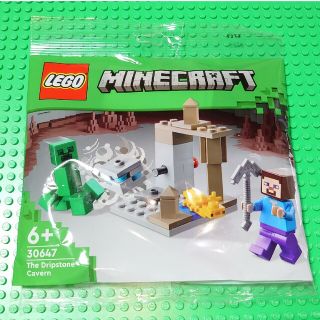 レゴ(Lego)の【新品】LEGO ポリバッグ 30647 マインクラフト 鍾乳洞 ミニセット(知育玩具)