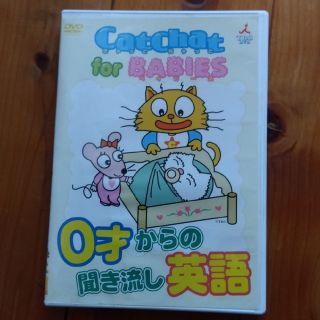 CatChat　for　BABIES DVD(キッズ/ファミリー)